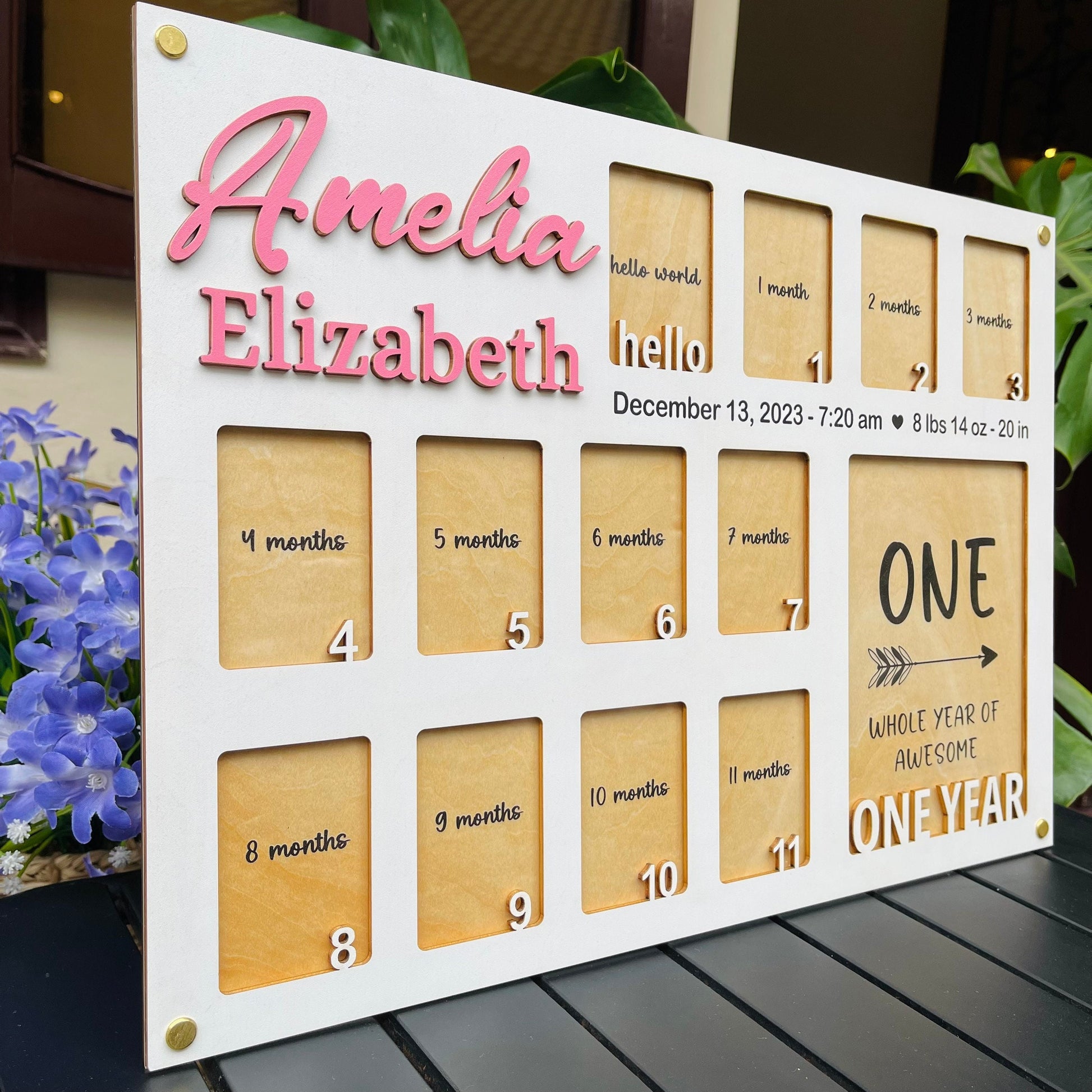 Baby Birth through One Year Monthly Picture Frame Wall Art, Personalized Wooden Photo Frame for Baby