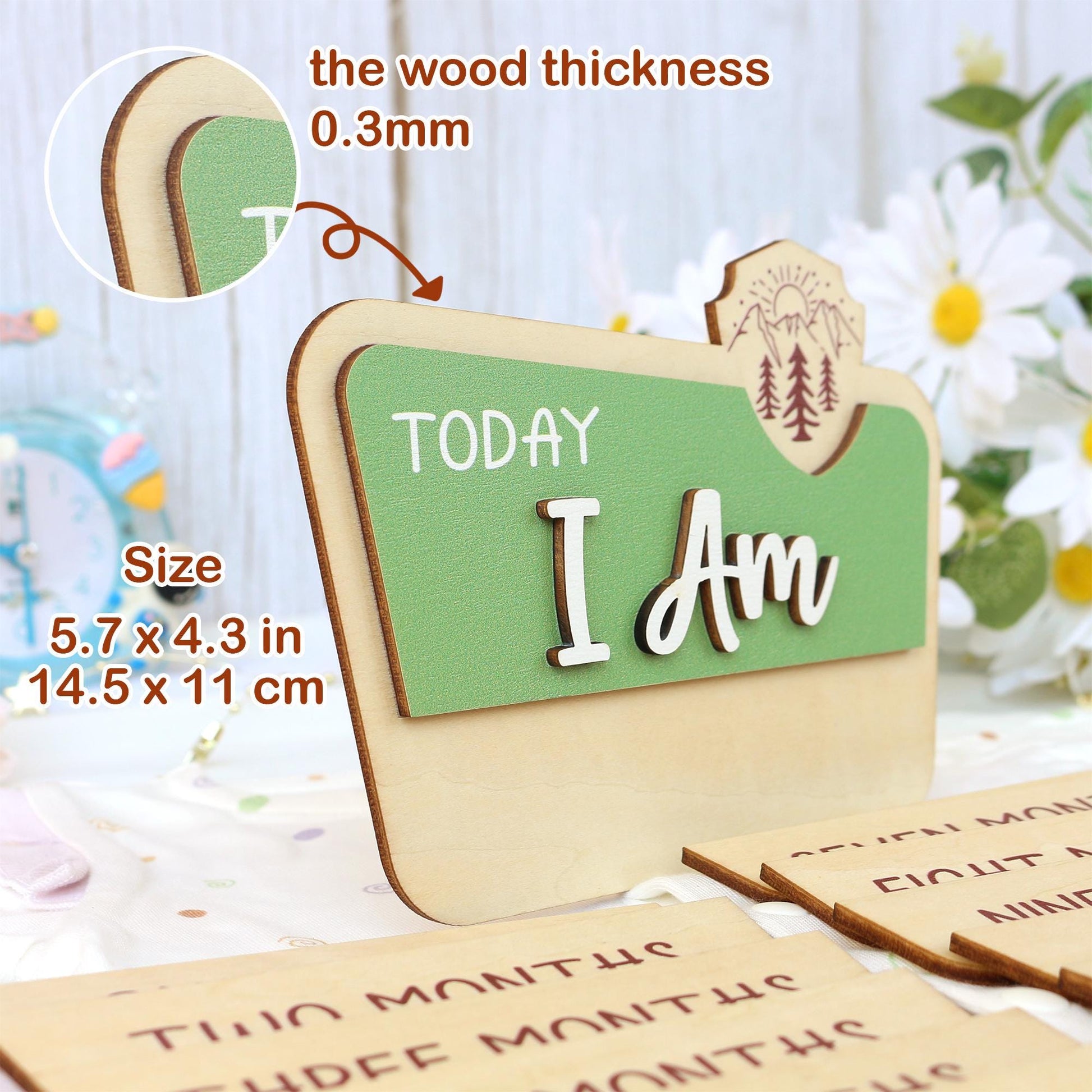 Baby Monthly Milestone Nation Park Baby Name Sign for Hospital Baby Photo Signs Baby Gift Baby Shower Gift