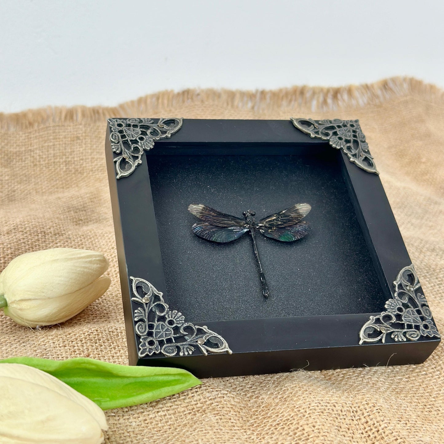 Black Damselfly Taxidermy Frame Shadow Box Insect Beetle Home Gothic Decor Christmas Gift