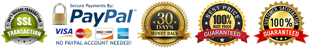 Notre Dame Air Max Plus Custom Sneakers